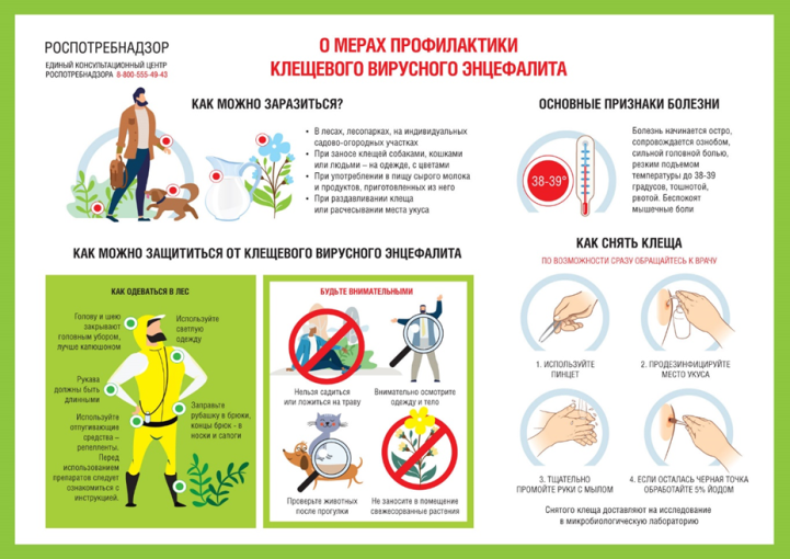 Профилактика укусов клещей Профилактика укусов клещей.